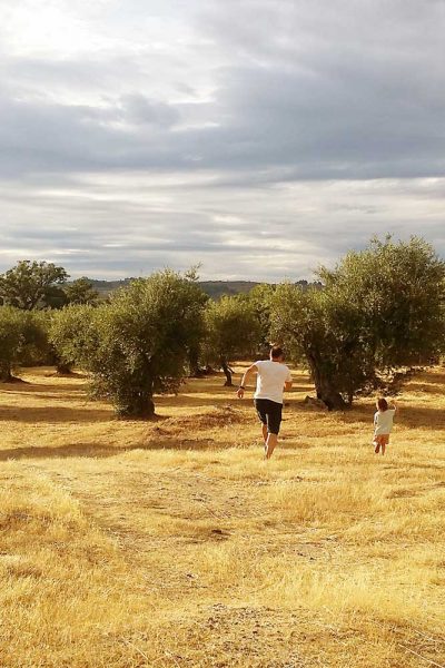 estes últimos anos . these last years