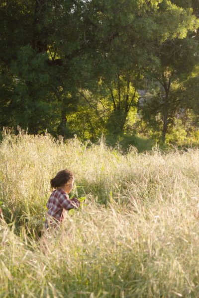 balanço – primavera . taking stock – spring